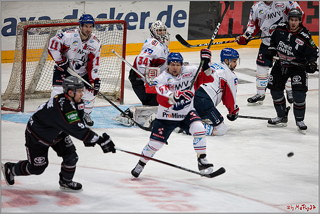 DEL, Koelner Haie - Adler Mannheim, 05.02.2017